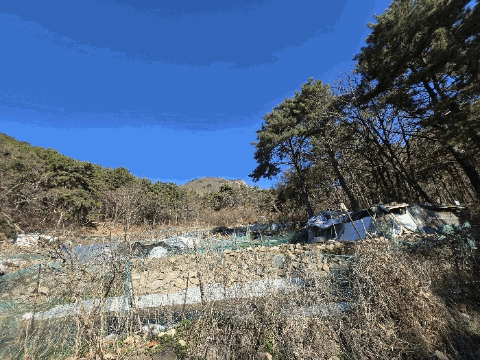 부산서부지원 2025타경102114-2 사진