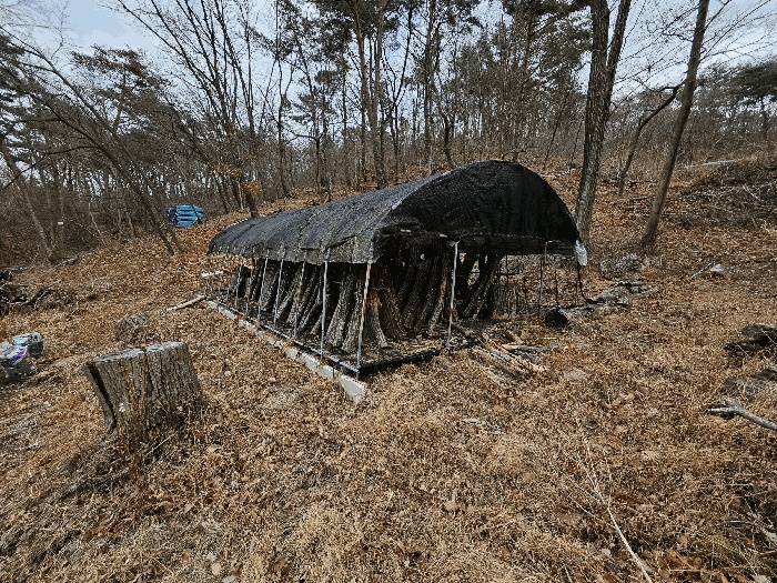 창원지법 2025타경358-1 사진
