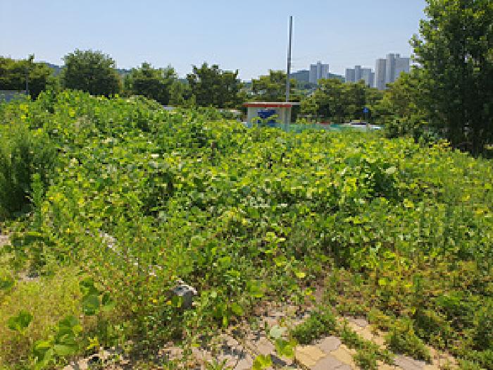 창원지법 2025타경531-1 사진