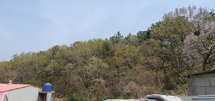 창원지법 2025타경11273-1 사진