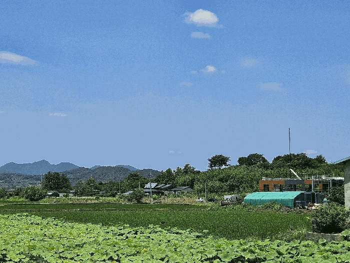창원지법 2025타경11733-1 사진