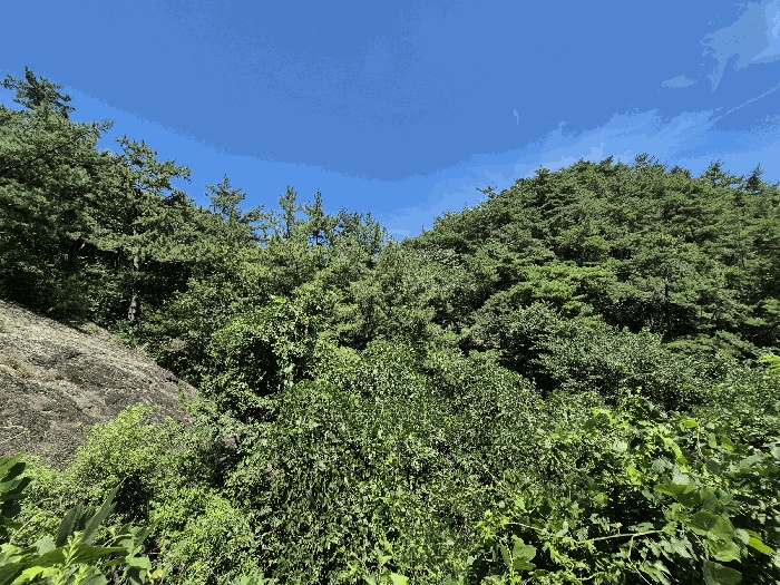 창원지법 2025타경11797-1 사진