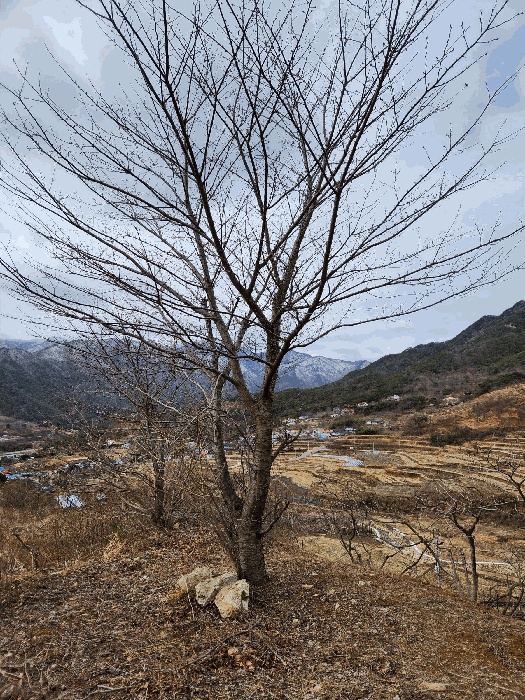 진주지원 2025타경505-2 사진
