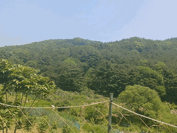 진주지원 2025타경684-1 사진