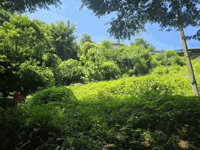 진주지원 2025타경804-1 사진