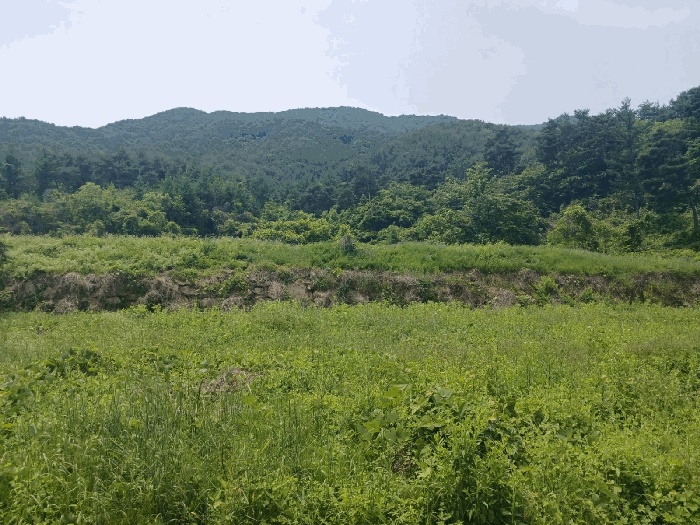 진주지원 2025타경30859-1 사진