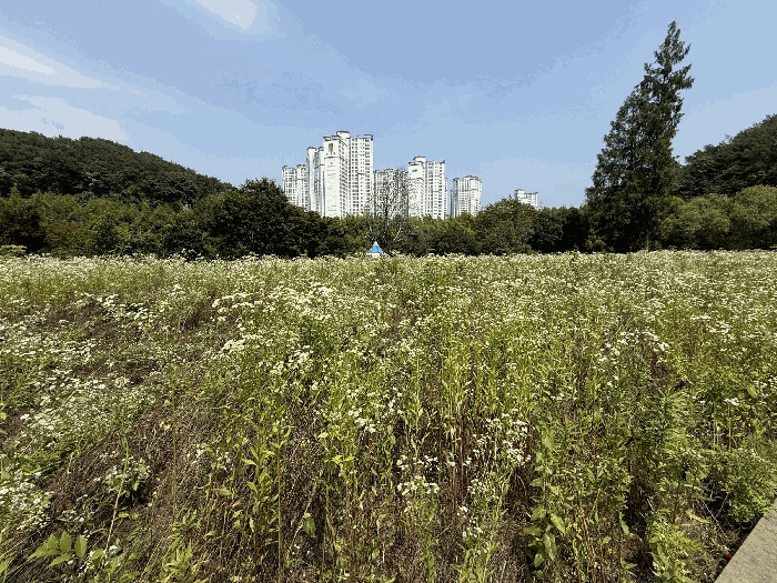 진주지원 2025타경30922-1 사진
