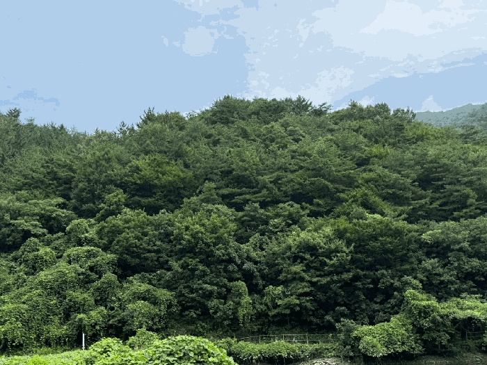진주지원 2025타경31040-1 사진