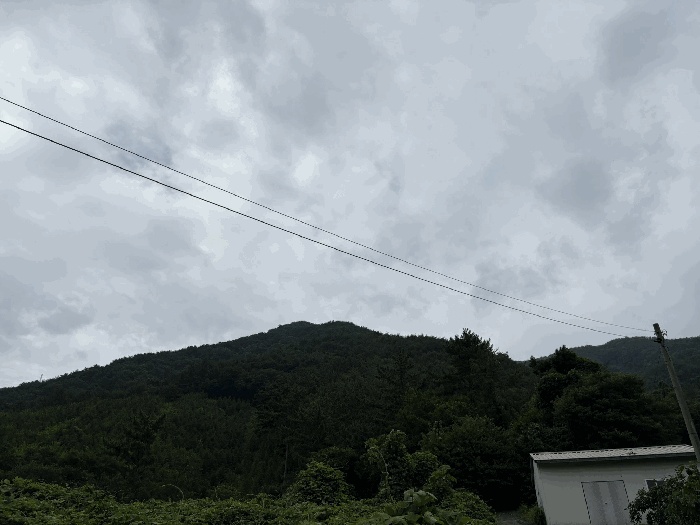 진주지원 2025타경31096-1 사진
