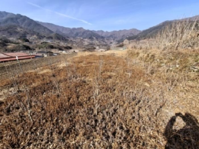진주지원 2026타경21-1 사진