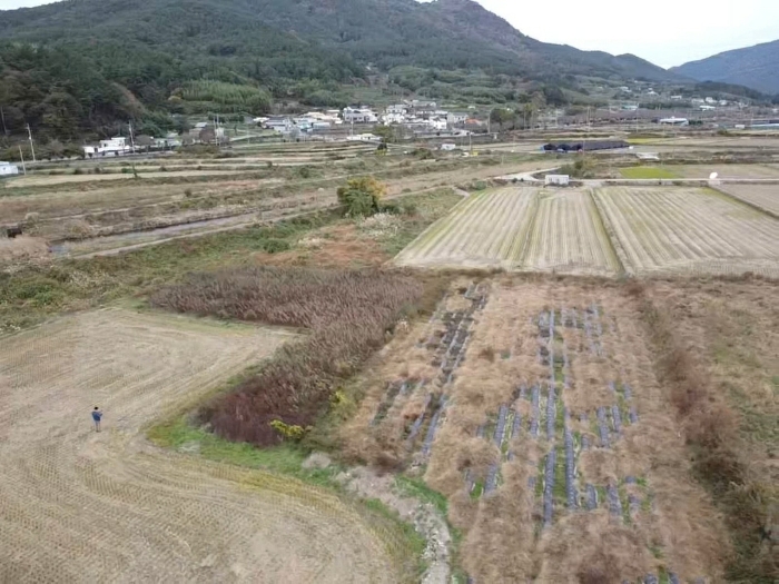 통영지원 2024타경31258-2 사진