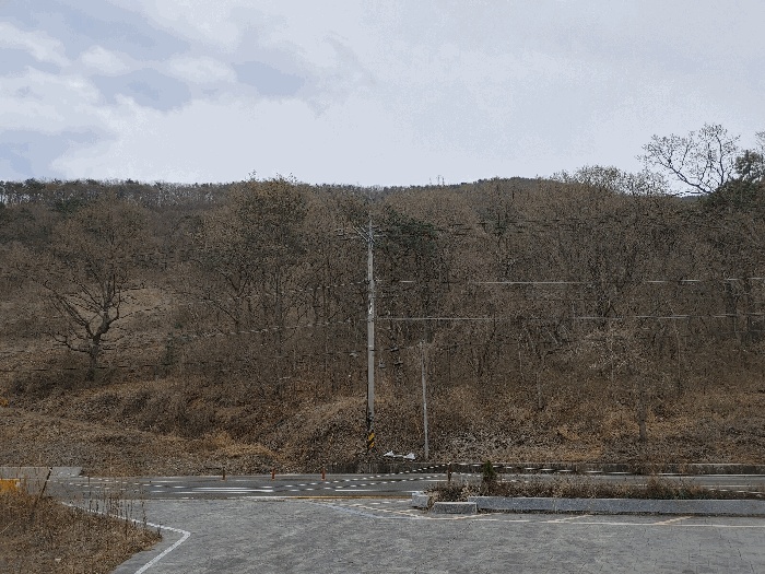 통영지원 2025타경395-1 사진