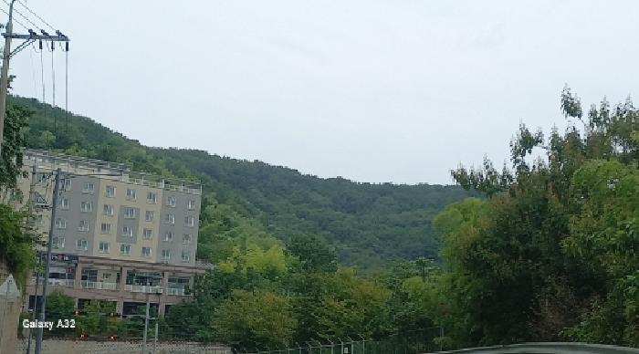 통영지원 2025타경619-1 사진