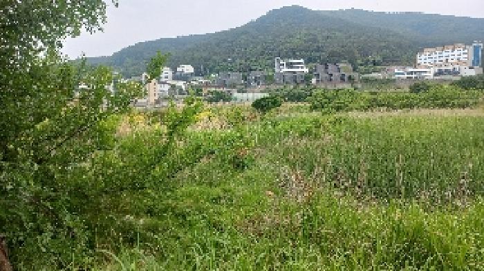 통영지원 2025타경21430-1 사진