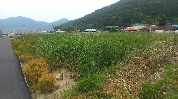 통영지원 2025타경21442-1 사진