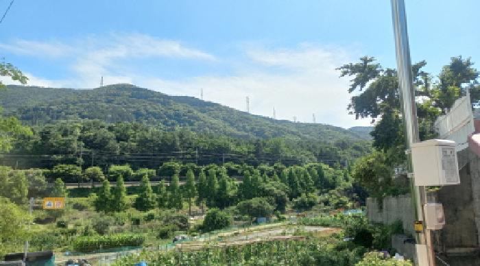 통영지원 2025타경21529-1 사진