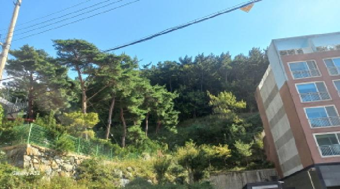 통영지원 2025타경22051-1 사진