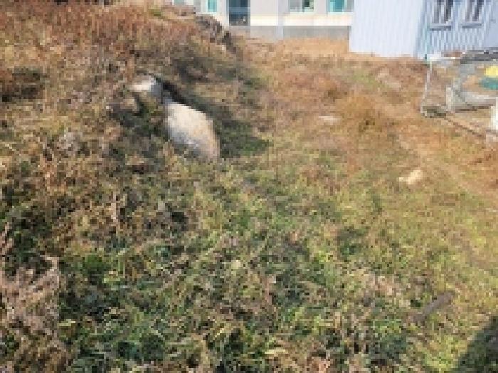 통영지원 2025타경22168-2 사진