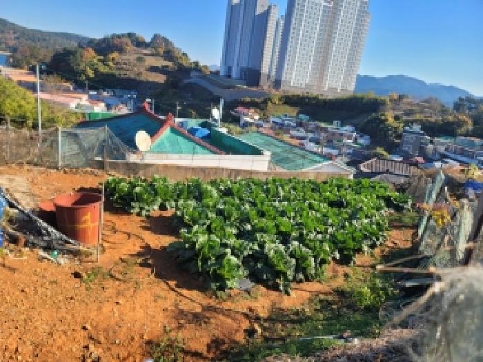 통영지원 2025타경22238-1 사진