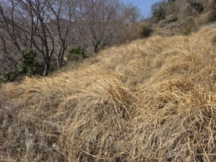 통영지원 2026타경25-2 사진