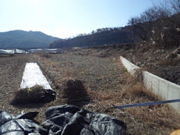 밀양지원 2024타경3027-1 사진