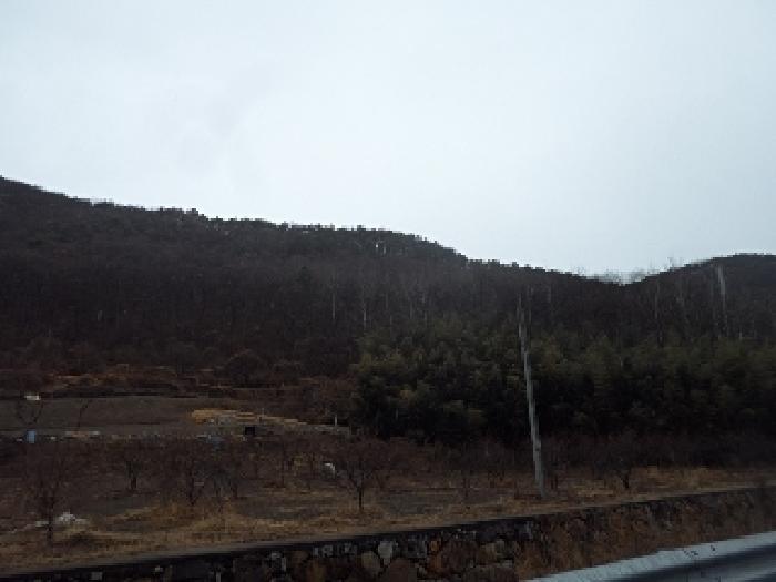 밀양지원 2025타경179-1 사진