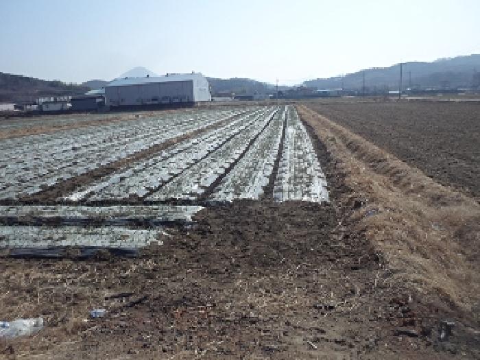 밀양지원 2025타경230-2 사진