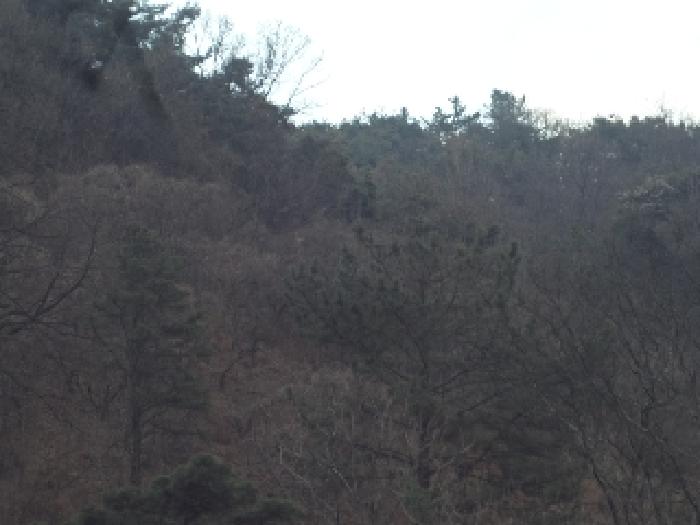 밀양지원 2025타경292-1 사진