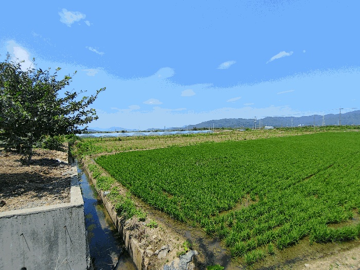 밀양지원 2025타경1318-1 사진