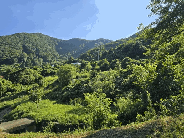 밀양지원 2025타경1493-1 사진