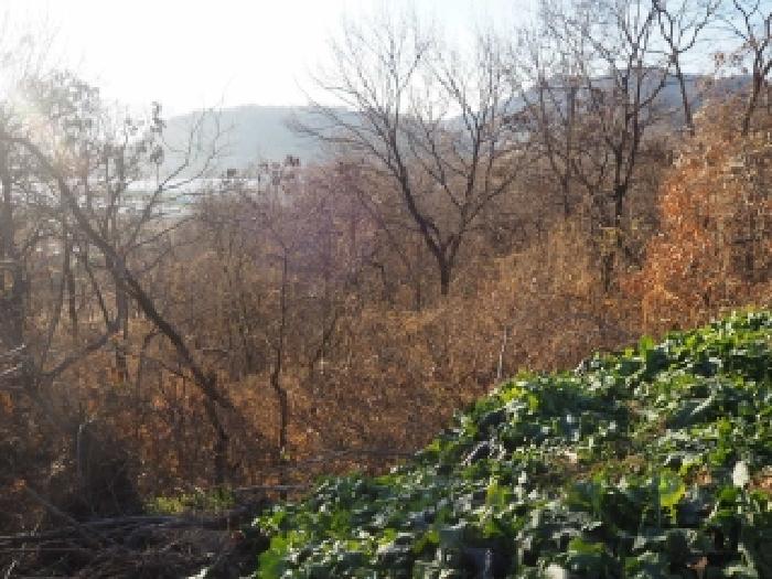 밀양지원 2025타경2212-1 사진