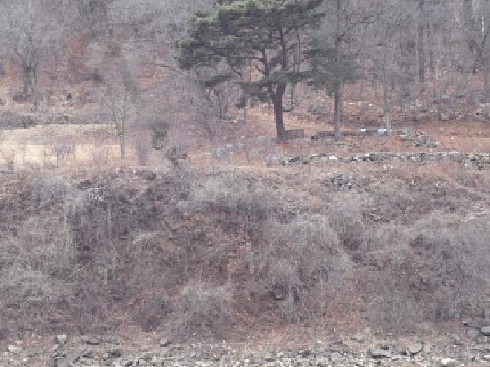 밀양지원 2025타경10244-1 사진
