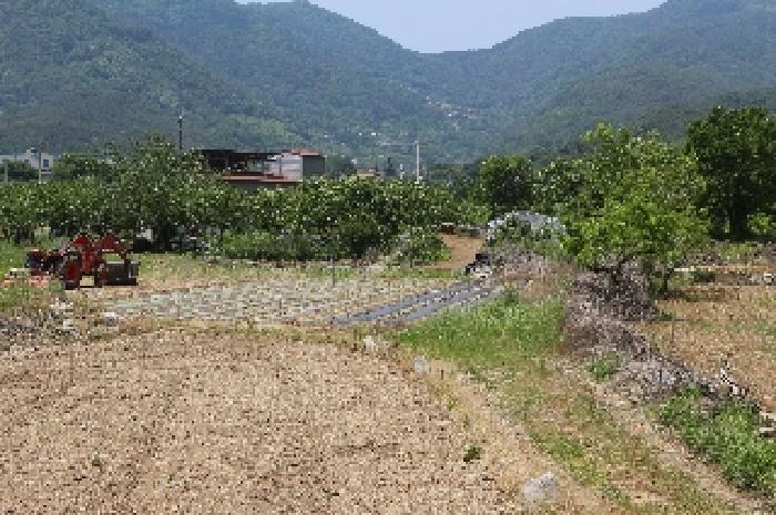 밀양지원 2025타경10338-2 사진