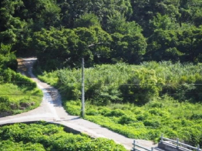 밀양지원 2025타경10428-1 사진