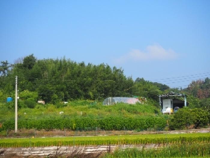 밀양지원 2025타경10450-1 사진