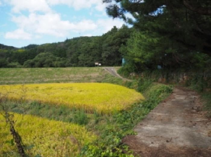 밀양지원 2025타경10534-1 사진