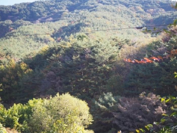 밀양지원 2025타경10549-1 사진