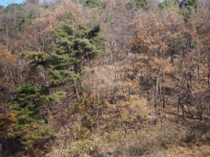 밀양지원 2025타경10582-3 사진