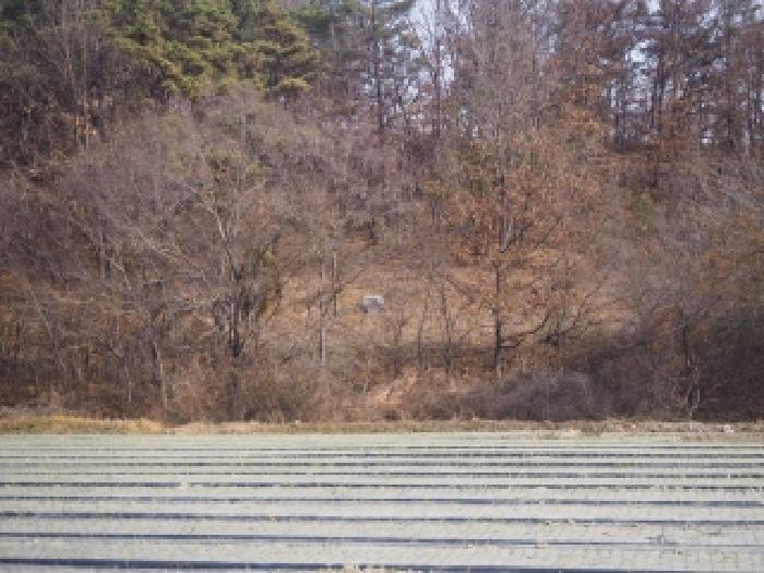 밀양지원 2025타경10590-1 사진