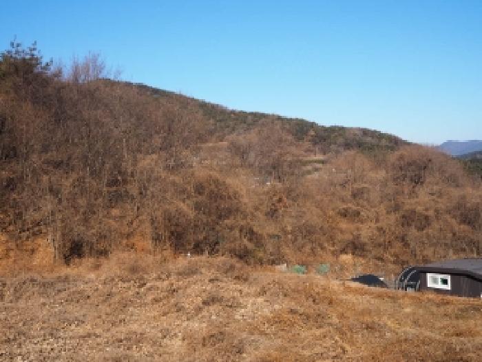 밀양지원 2026타경155-1 사진