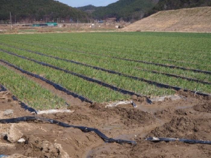 밀양지원 2026타경254-2 사진