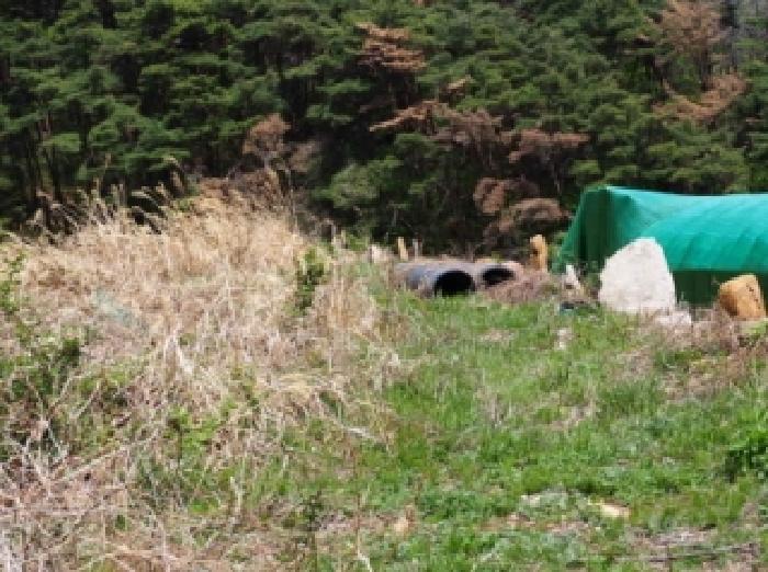 밀양지원 2026타경537-1 사진