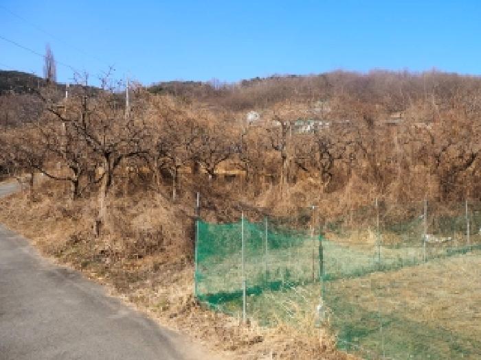 밀양지원 2026타경10001-1 사진