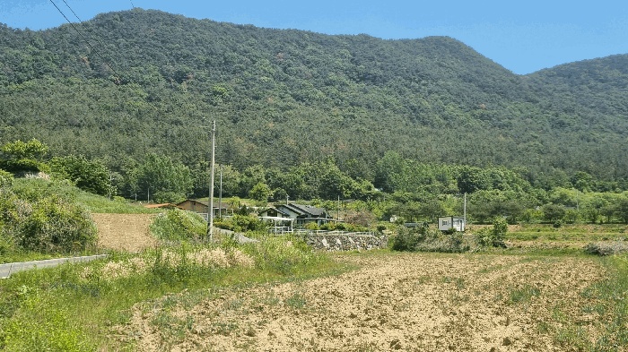 밀양지원 2026타경10143-1 사진