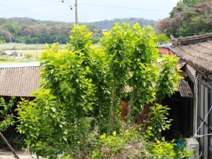 밀양지원 2026타경10149-1 사진
