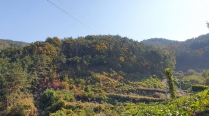 마산지원 2022타경104675-1 사진