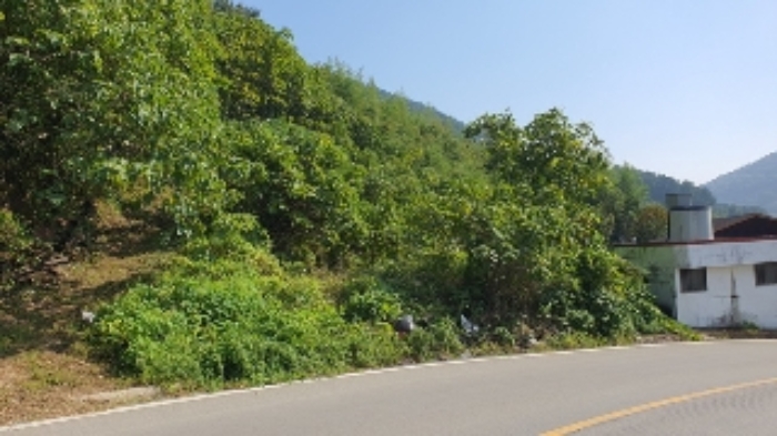 마산지원 2024타경2506-1 사진