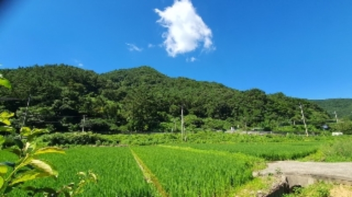 마산지원 2024타경104105-2 사진