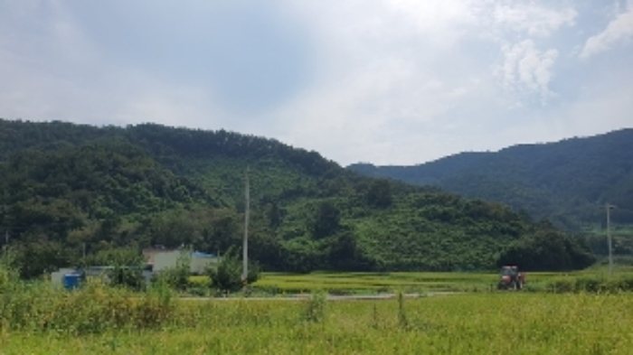 마산지원 2024타경104716-1 사진
