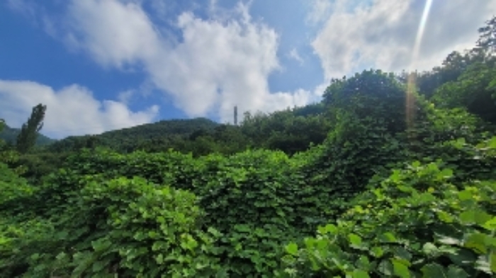 마산지원 2024타경105139-1 사진